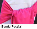 Banda Fuscia