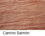 Camino Salmón