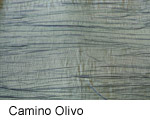 Camino Olivo