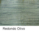 Redondo Olivo