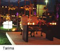 Tarima